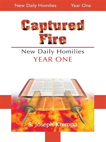 CAPTURED FIRE: NEW DAILY HOMILIES, YEAR ONE